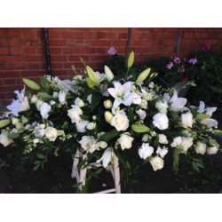Sympathy 24 - Prices start from £60.00